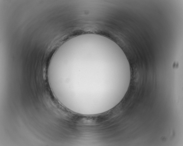 X0000113620502200909181119