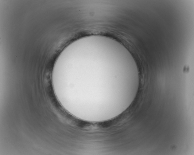 X0000113620503200909181119