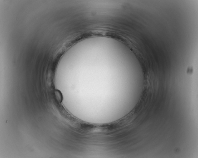 X0000113620504200909181119