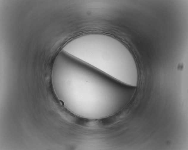 X0000113620505200909181119