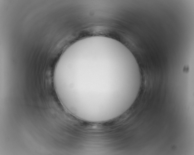 X0000113620506200909181119