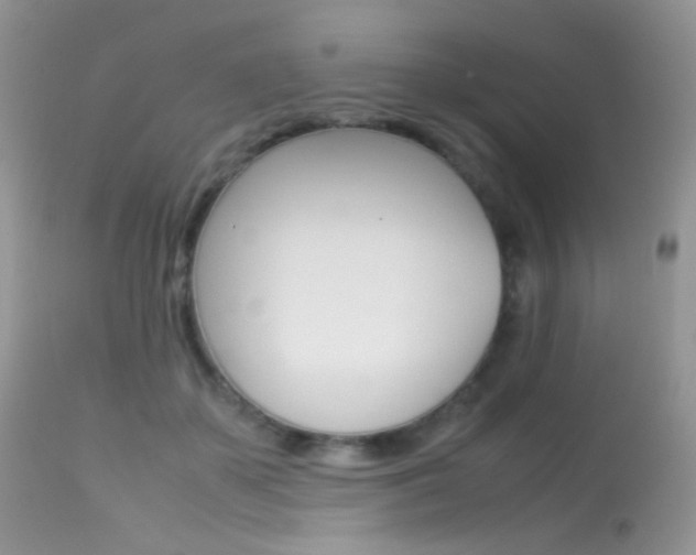 X0000113620507200909181119