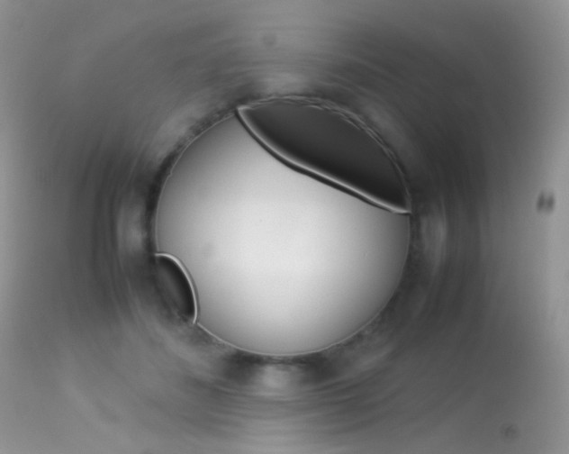 X0000113620508200909181119