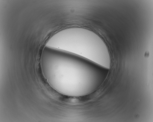 X0000113620509200909181119