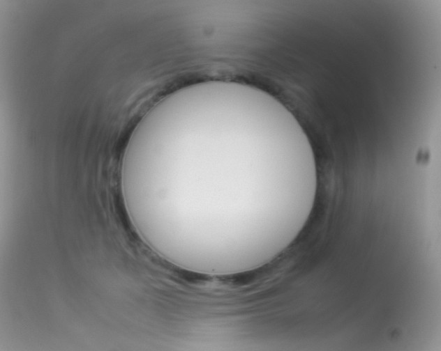 X0000113620511200909181119