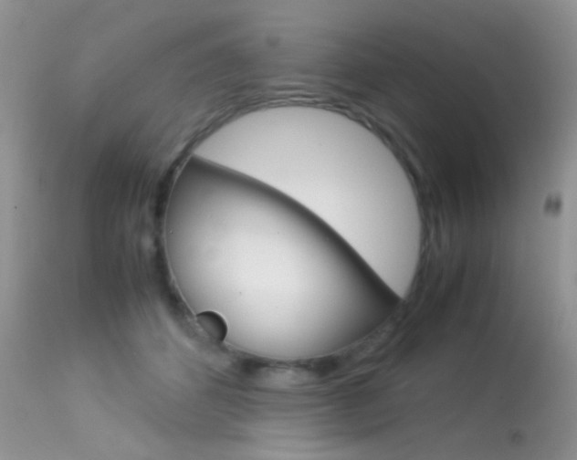 X0000113620512200909181119