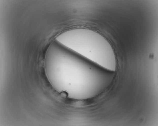 X0000113620513200909181119