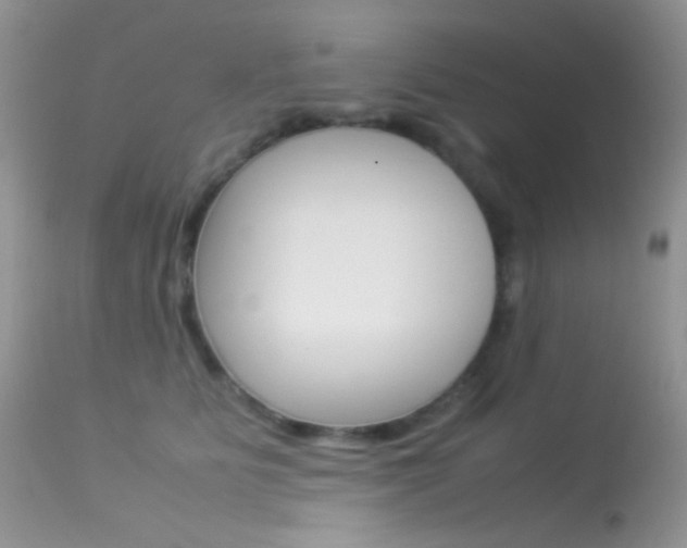 X0000113620515200909181119