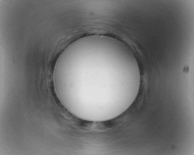 X0000113620517200909181119