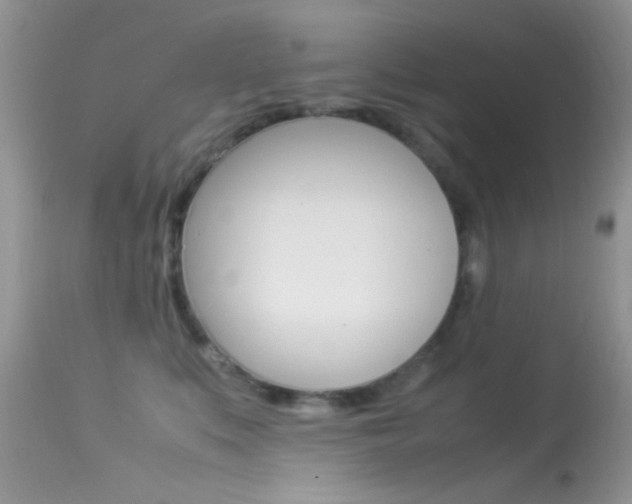 X0000113620519200909181119