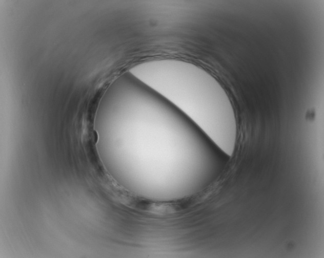 X0000113620520200909181119