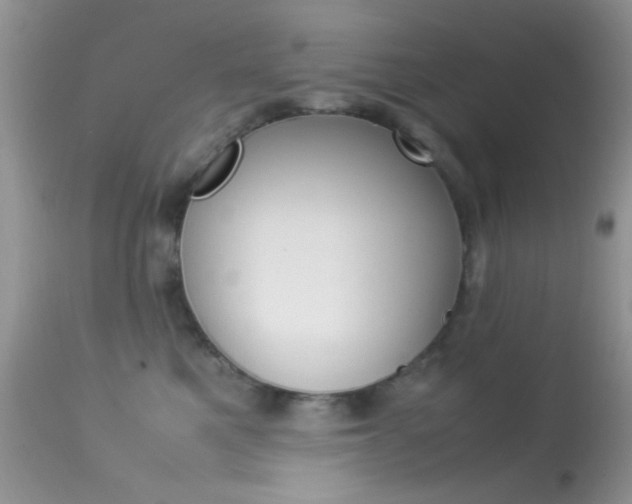 X0000113620521200909181119