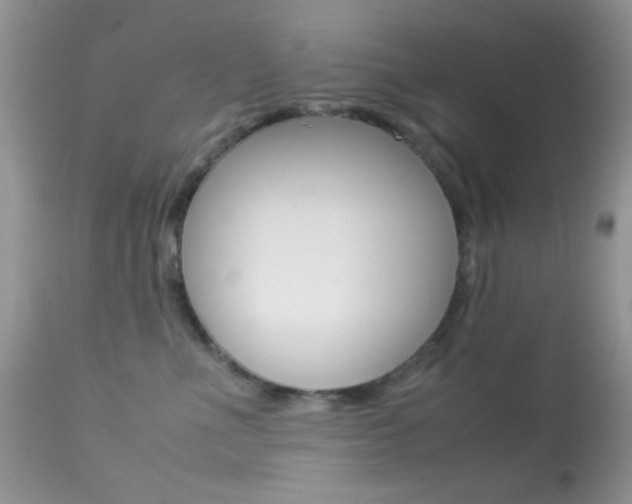 X0000113620523200909181119