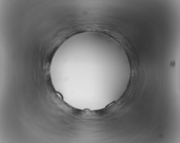 X0000113620525200909181119