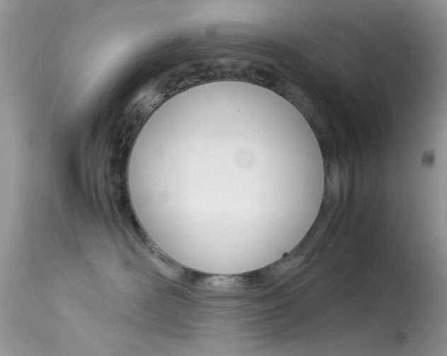 X0000113620526200909181119