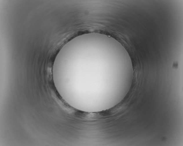 X0000113620527200909181119