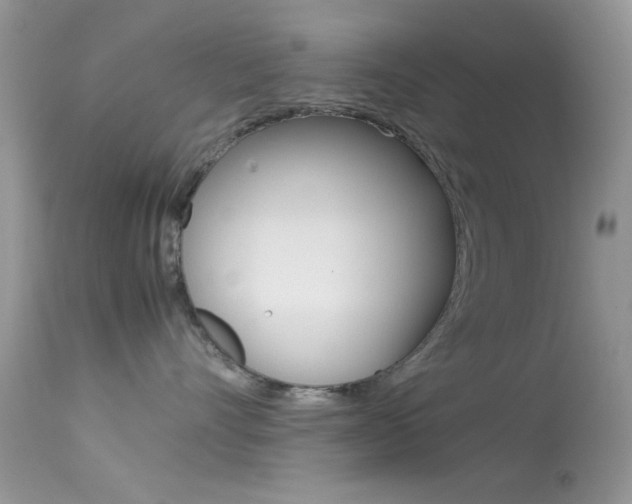 X0000113620528200909181119