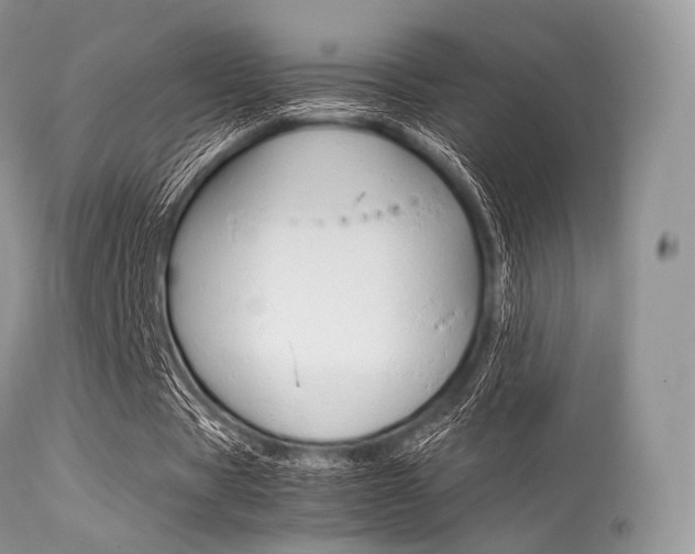 X0000113620529200909181118