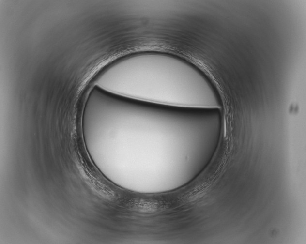 X0000113620531200909181118