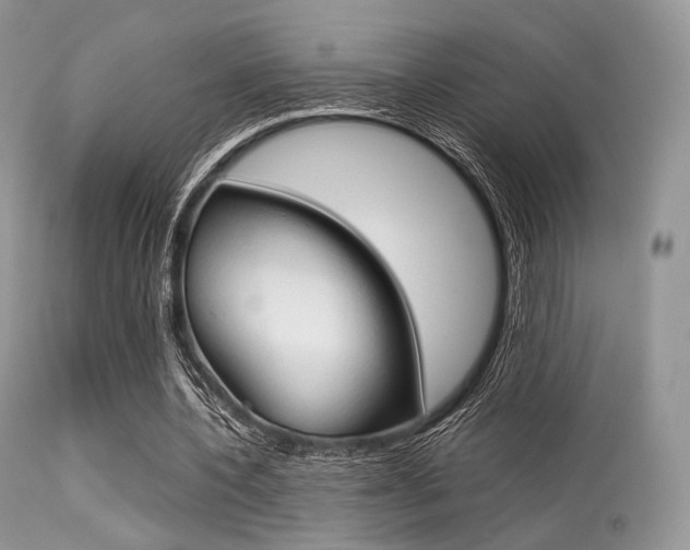 X0000113620532200909181118