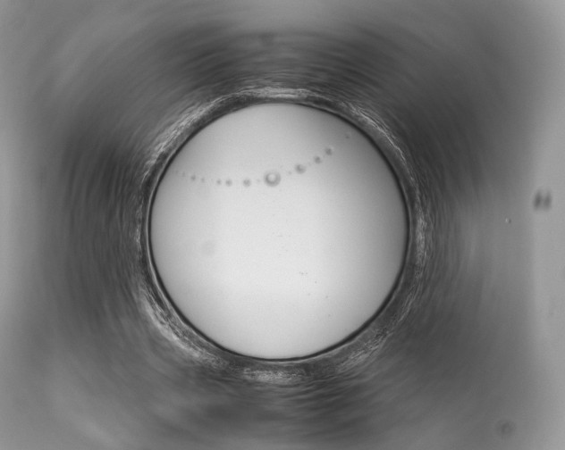 X0000113620533200909181118