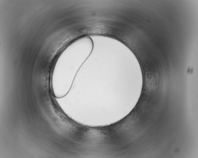 X0000113620534200909181118