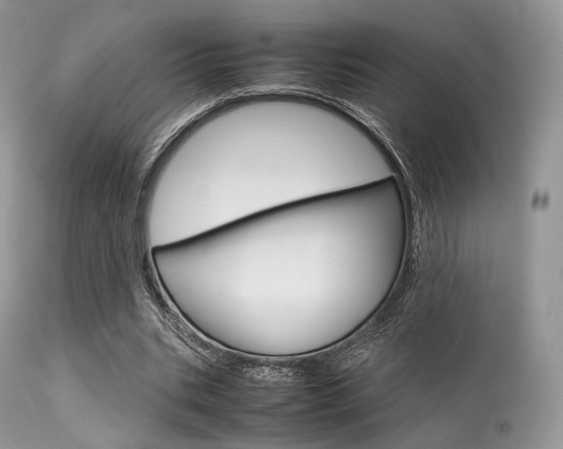 X0000113620535200909181118