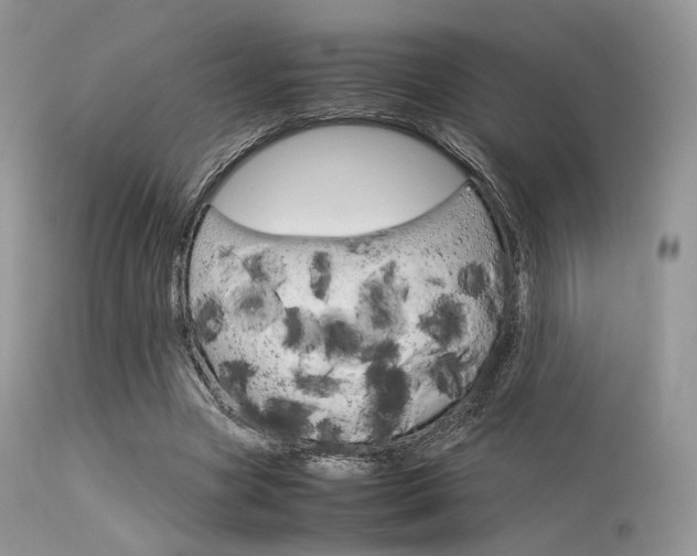 X0000113620537200909181118