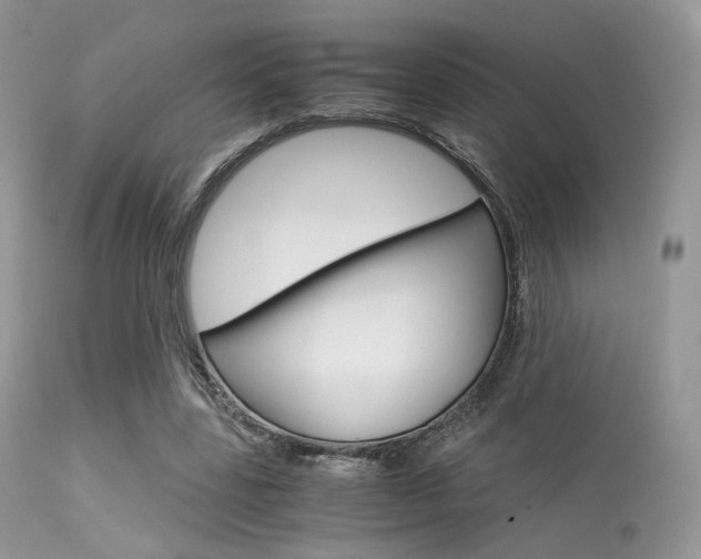 X0000113620539200909181118