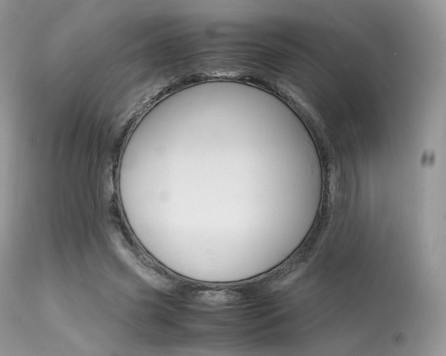 X0000113620541200909181118