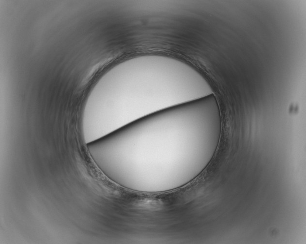 X0000113620543200909181118