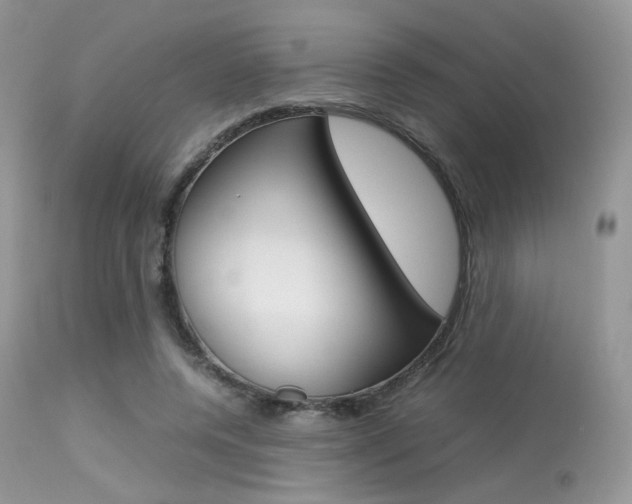 X0000113620544200909181118