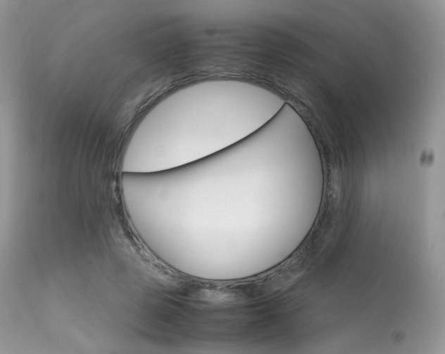 X0000113620545200909181118