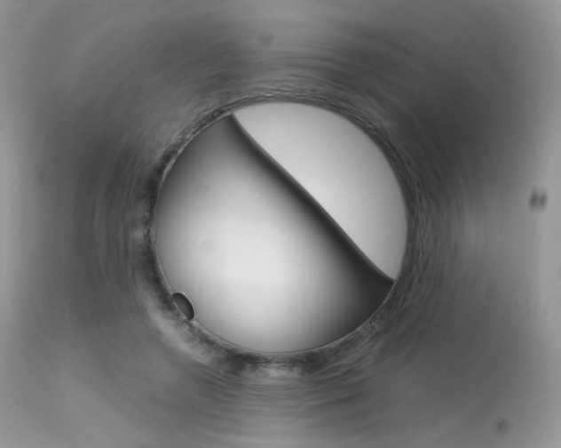 X0000113620546200909181118