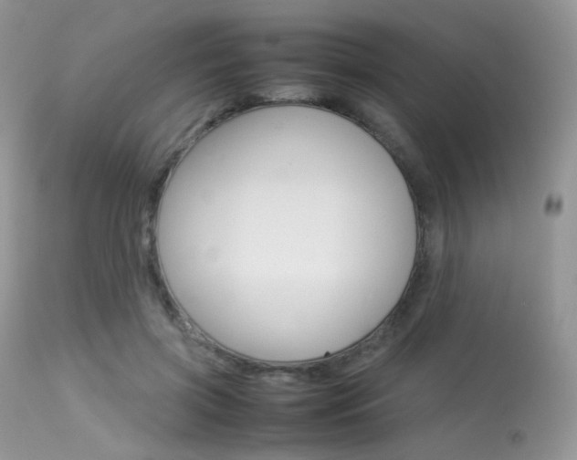 X0000113620549200909181118