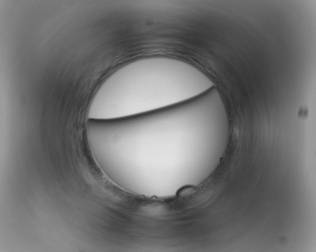 X0000113620551200909181118