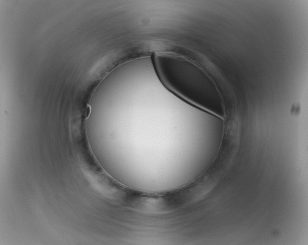 X0000113620552200909181118