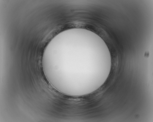 X0000113620553200909181118