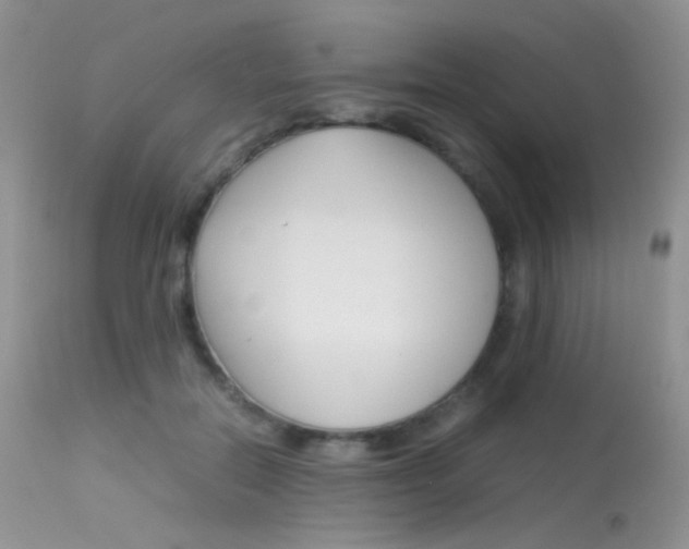 X0000113620554200909181118