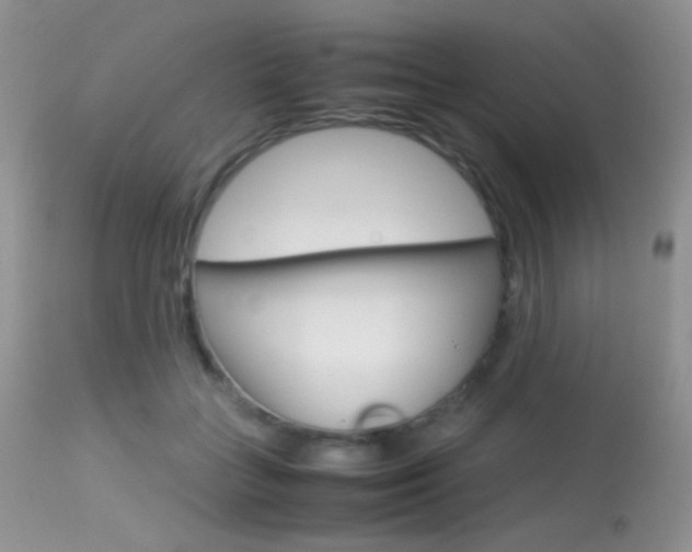 X0000113620555200909181118