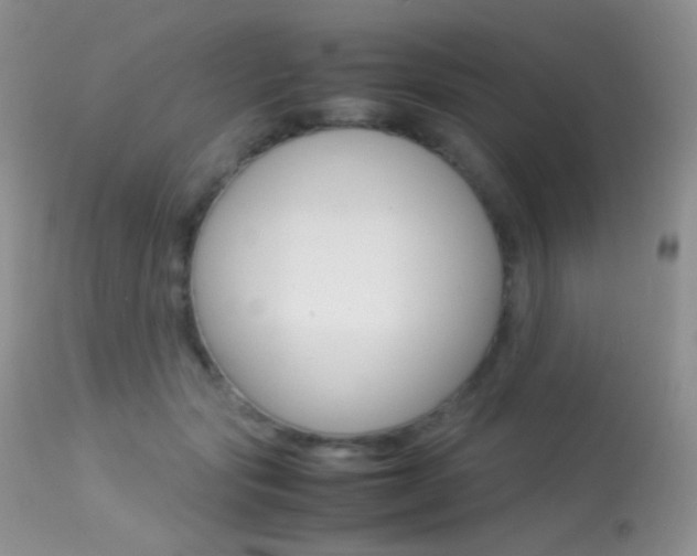 X0000113620557200909181118