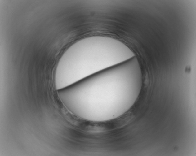 X0000113620559200909181119