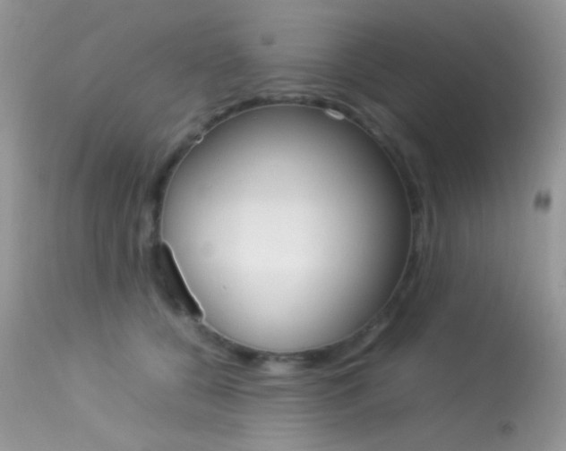 X0000113620560200909181119