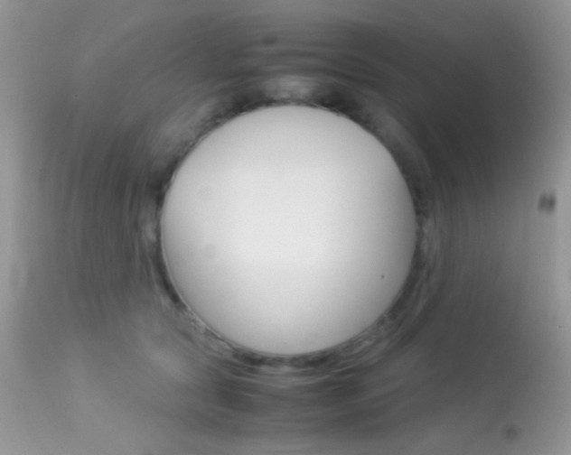 X0000113620561200909181119