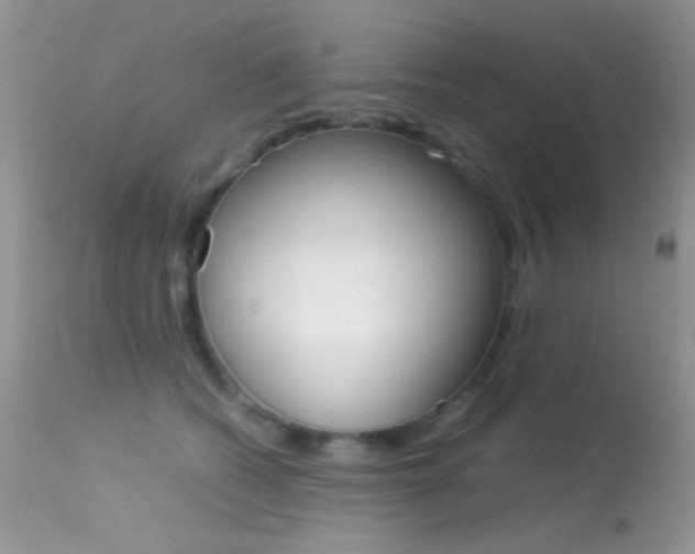 X0000113620562200909181119