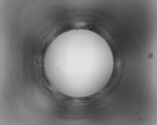 X0000113620565200909181119