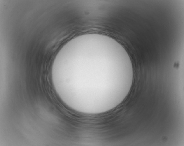 X0000113620566200909181119