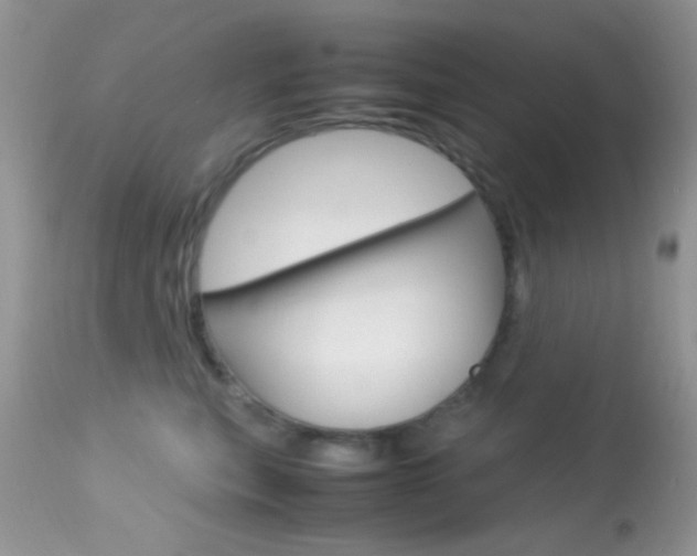 X0000113620567200909181119