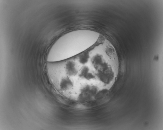 X0000113620569200909181119