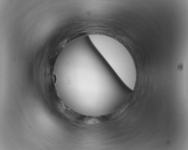 X0000113620572200909181119